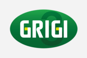 gruppo_grigi